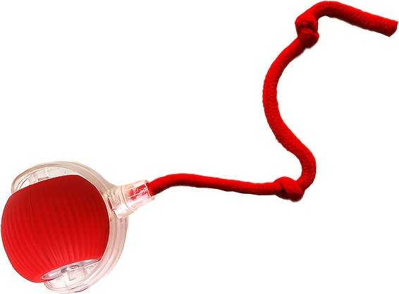 Temu Cat Toy Ball With Tail Rope