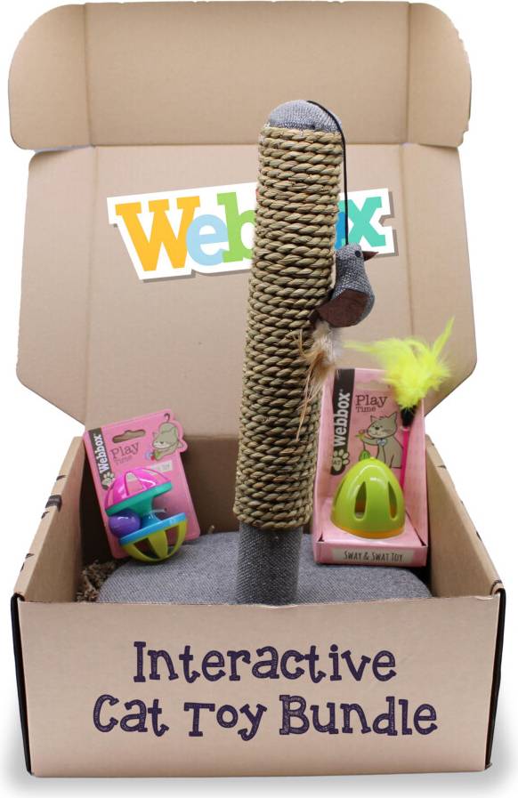 Webbox Interactive Cat Toy Bundle Box 3 Pack