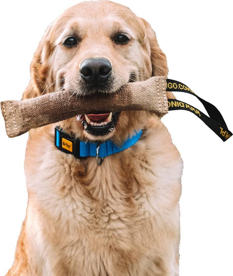 Dingo Waldemar Rutkowski Jute Tug Toy Strong 1 Handle Pull Rope 40 cm