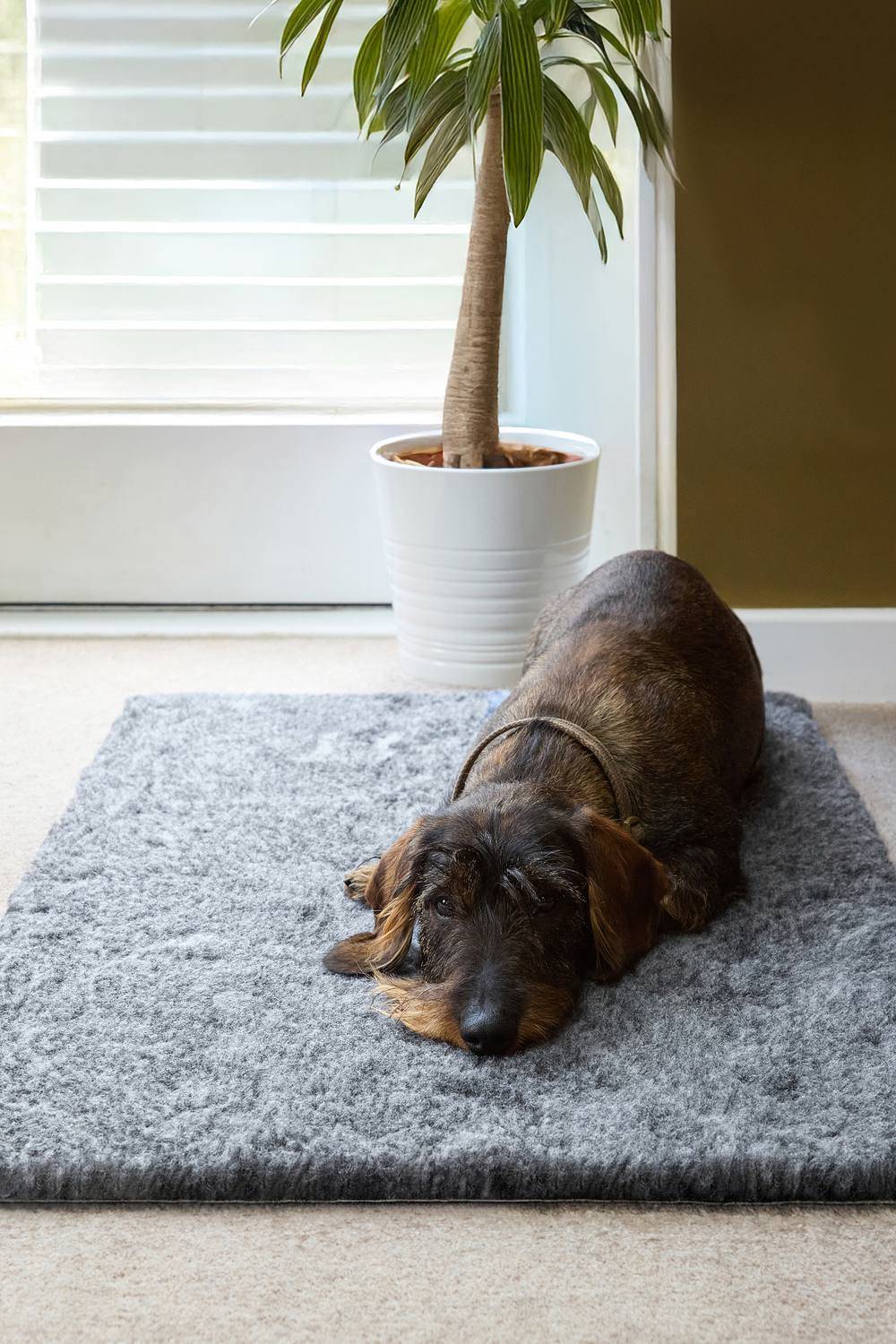 Slumberdown Paws Slumber Vet Mat Small S