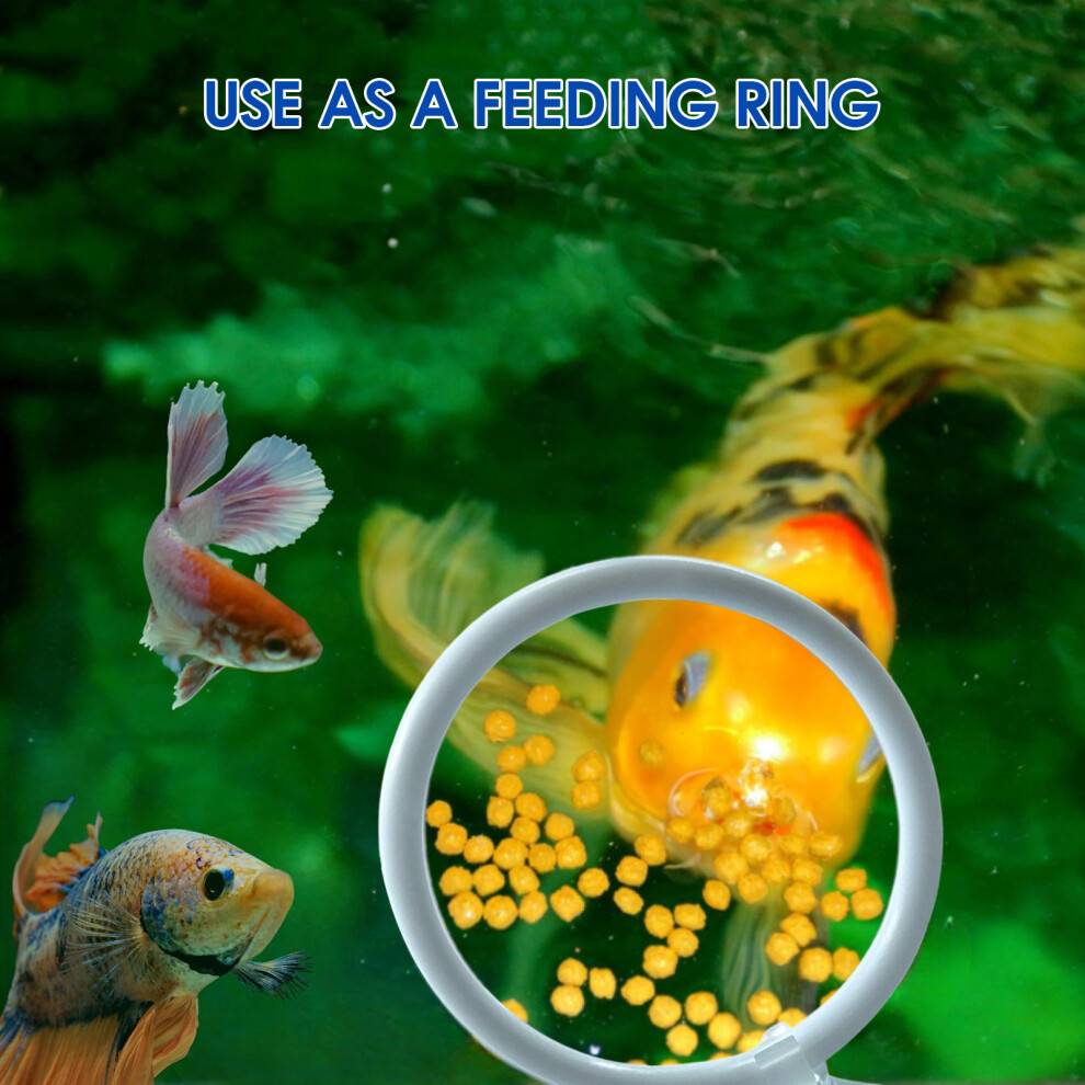 Exercise ring Betta Fish Exercise Ring Filter Balls Set