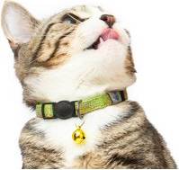 Long Paws Tom And Tabby Reflective Cat Collars - Green/Multi-Coloured/Multi-Coloured/Multi-Coloured/Multi-Coloured/Red