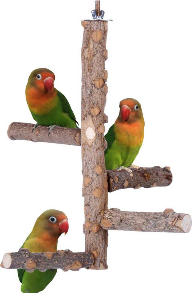 Multi-Functional Bird Perch Chewing Stick