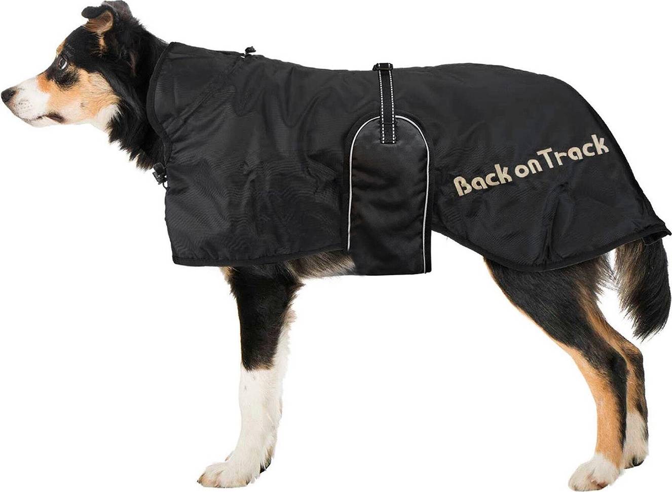 Back On Track Dog Rug 43-59