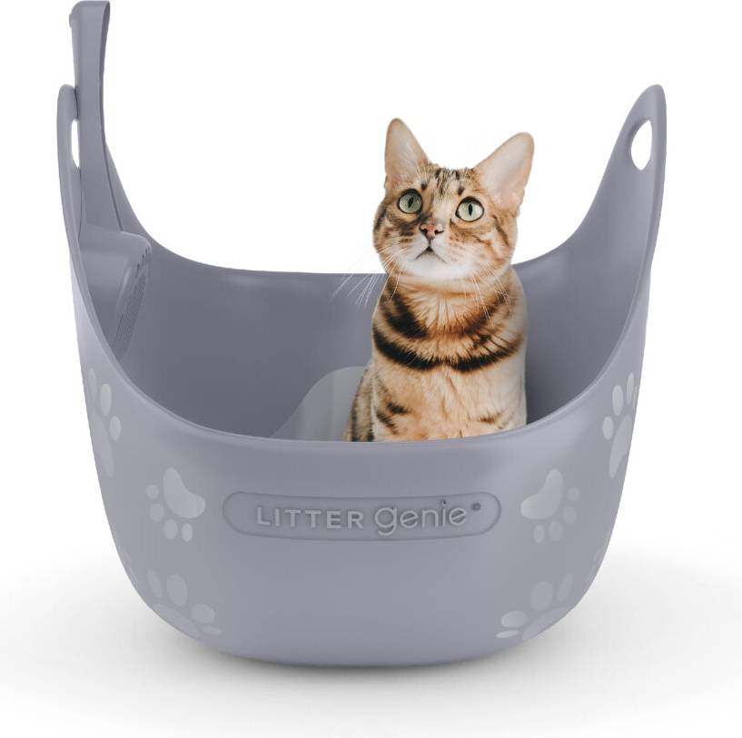 Box With Scoop Grey