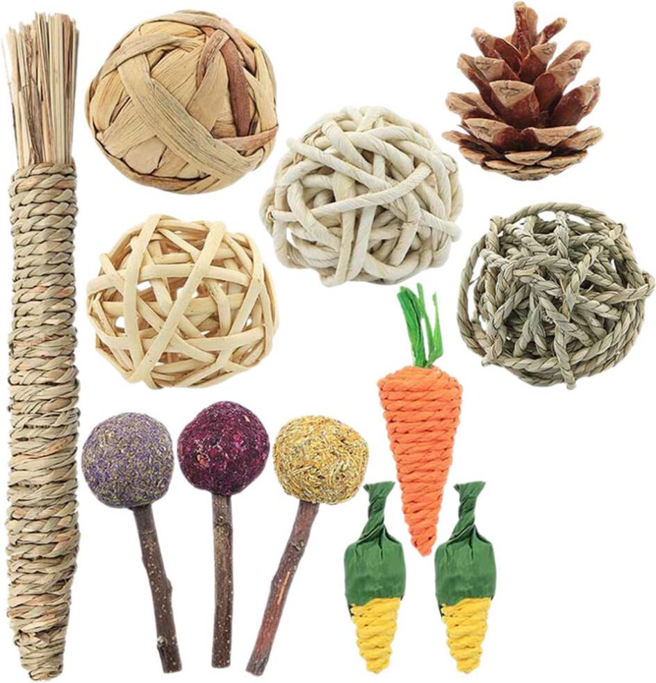 Solustre 48 Pcs Rabbit Chew Toys For Small Animals