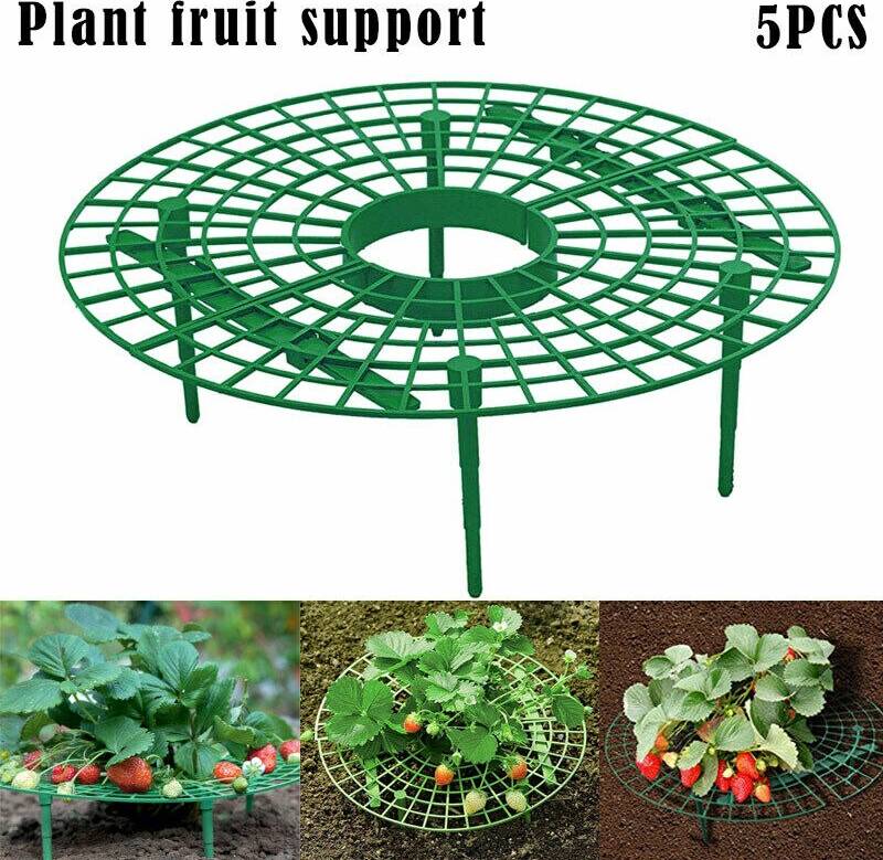 Strawberry Growing Circle Support Rack