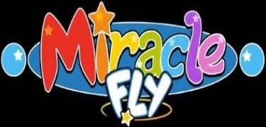 Miracle Fly PC Steam Key