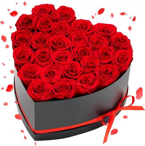 Forever Flowers 27 Konserverte Roser