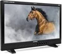 DM231 Reference Monitor