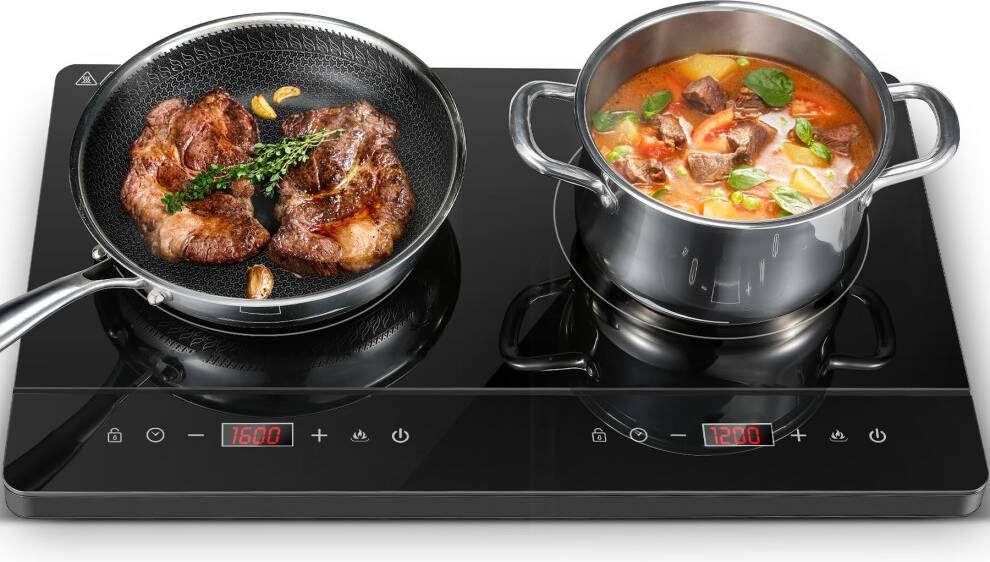 Double portable induction hob Double Induction Hob Portable Cooker