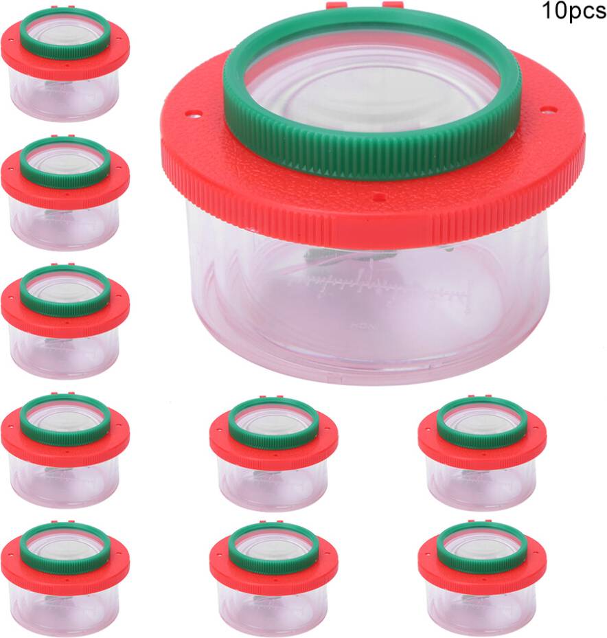 Interactive Insect Observation Tool