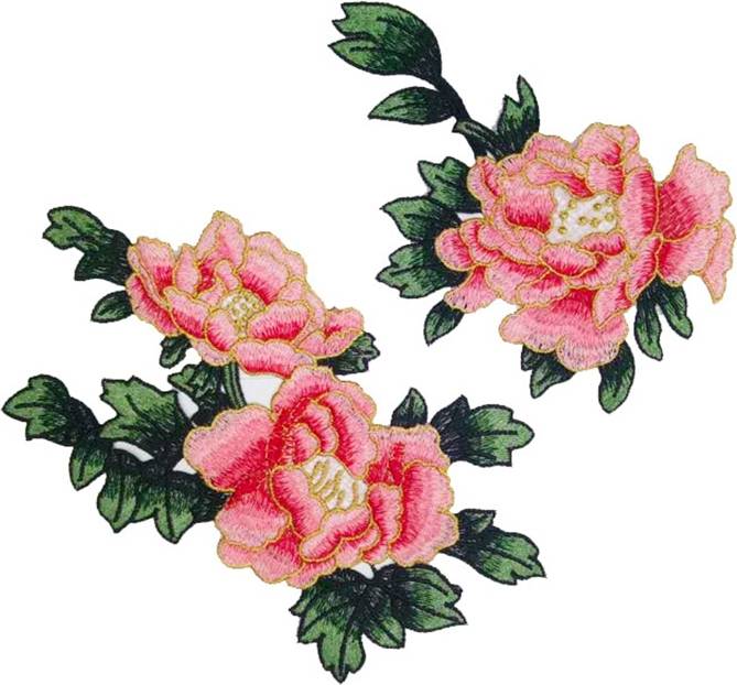 Flerfärgad Pionblomma Broderipatch Rosa