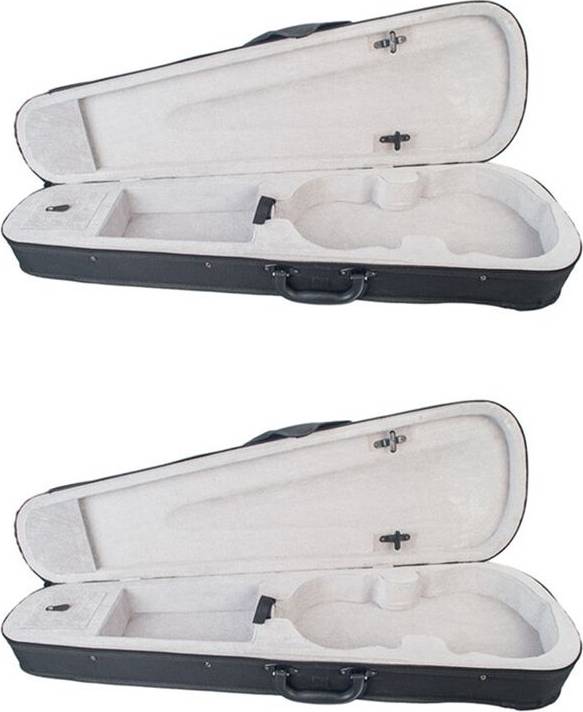 Violin Triangular Shape Case