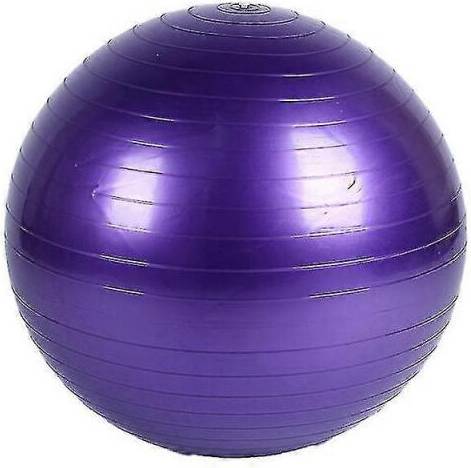 Static Strength Exercise Stability Ball 65cm