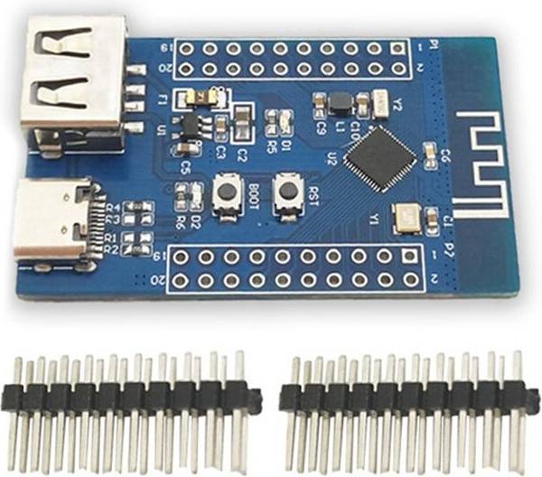 Typecat 5.3 RF2.4G Microcontroller Dual USB RISC-V Module