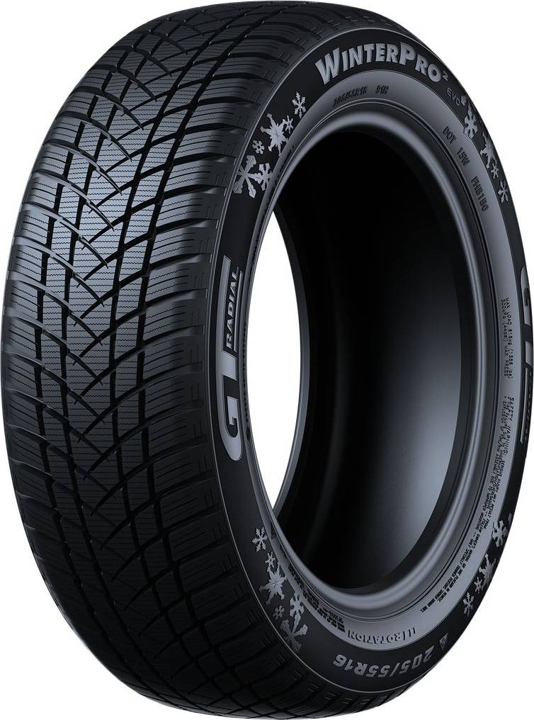 WinterPro2