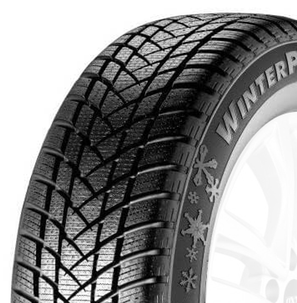 WinterPro2