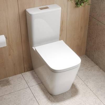 Albi Close Coupled Back To Wall Rimless Toilet
