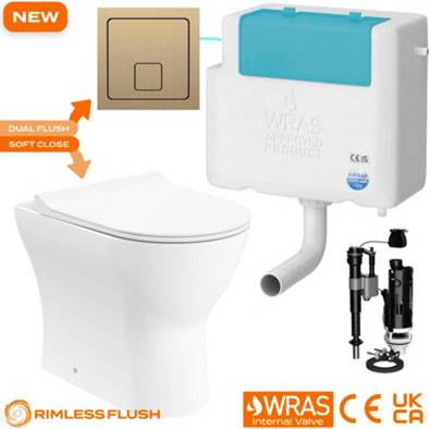 Bubly Rimless D-Shape Back To Wall Toilet