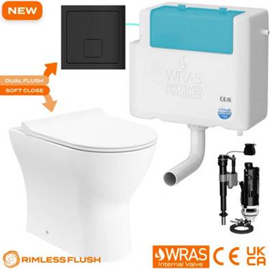 Bubly Rimless Back To Wall D-Shape Toilet