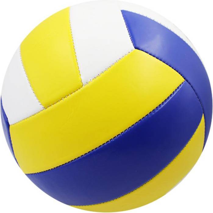 Training Volleyball Long Service PVC