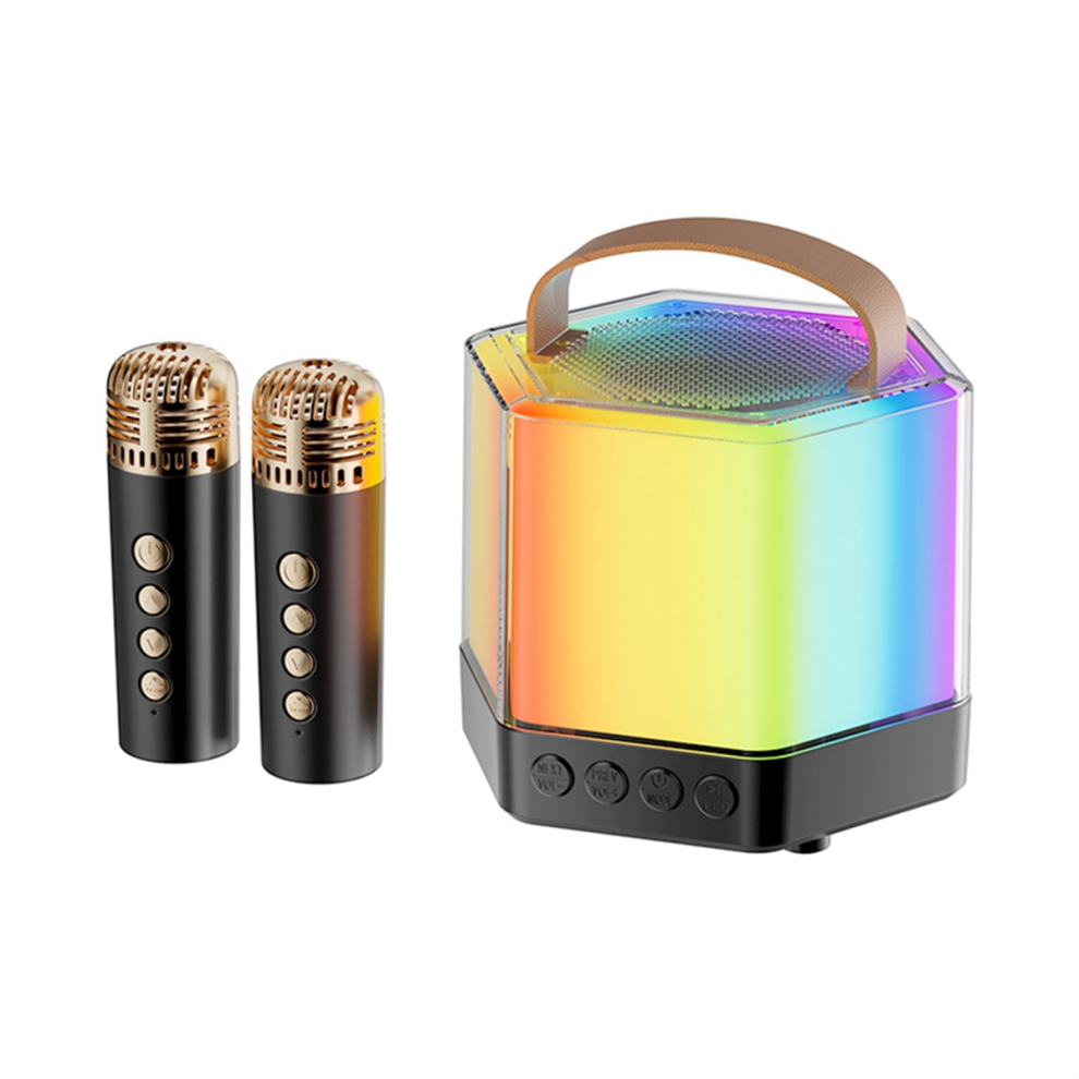 Bluetooth Portable Karaoke Machine