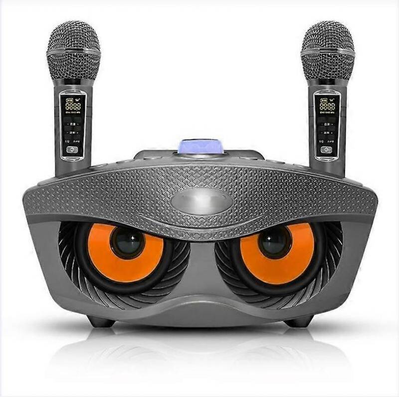 Karaoke Machine Portable Bluetooth Speaker System