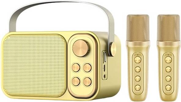 Portable speaker Karaoke Machine Portable Speaker System