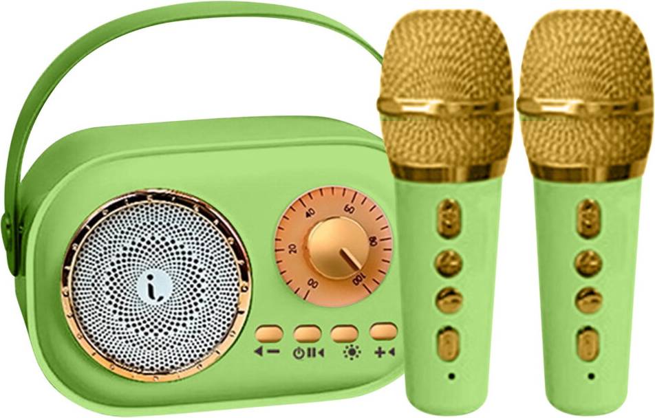 Mini Karaoke Machine 2 Wireless Mics