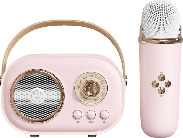 Mini Portable Karaoke Machine with Mic