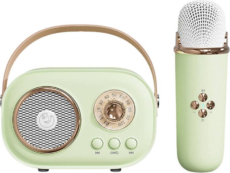 Portable Bluetooth Karaoke Machine Set