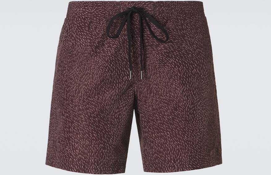 Printed Swim Trunks