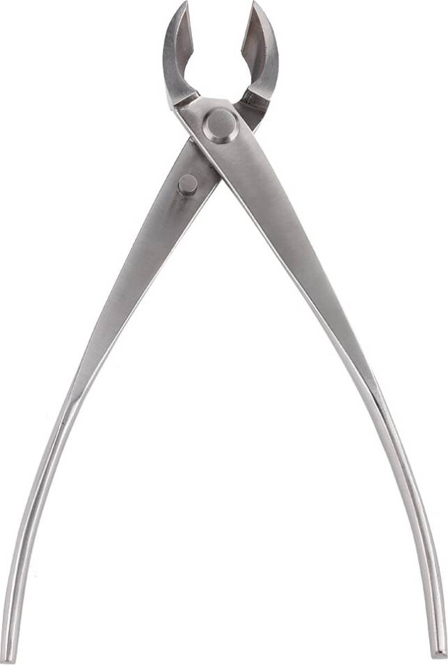 Branch Cutter Pruning Tool