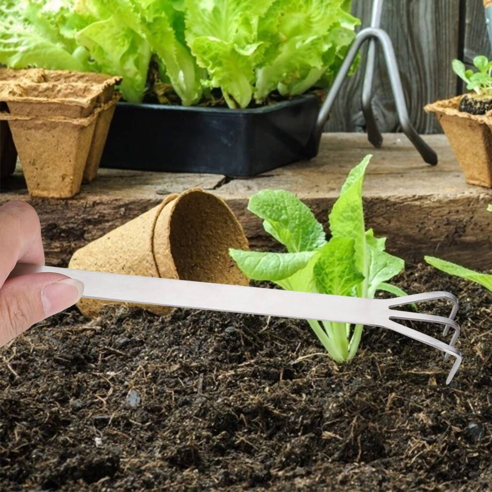 Multifunctional Bonsai Tool Rounded Smooth Parts