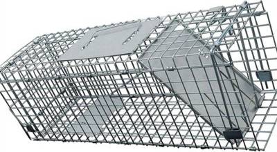 B&Q Large Humane Rodent Cage Trap One Size