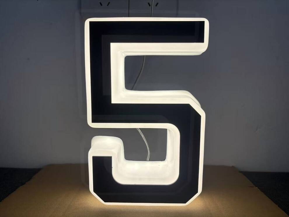 Solar LED House Numbers 9 Inch IP65
