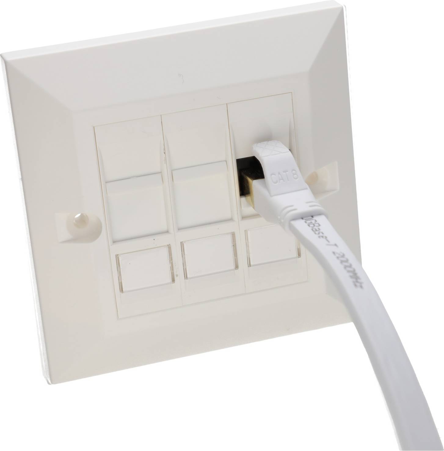 Cat6 3 In 1 Assembly 3 Modules In A Single Gang Bevelled Plate