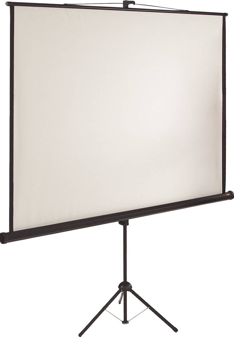 Symple Stuff White Portable Projection Screen