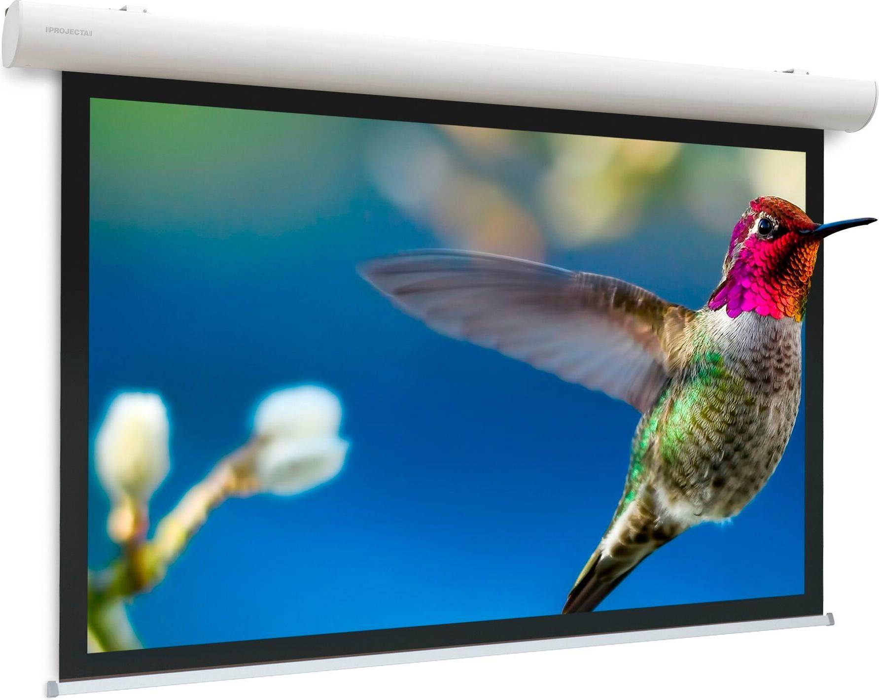 Elpro Concept HDTV Format Projection Screen 176 Inch