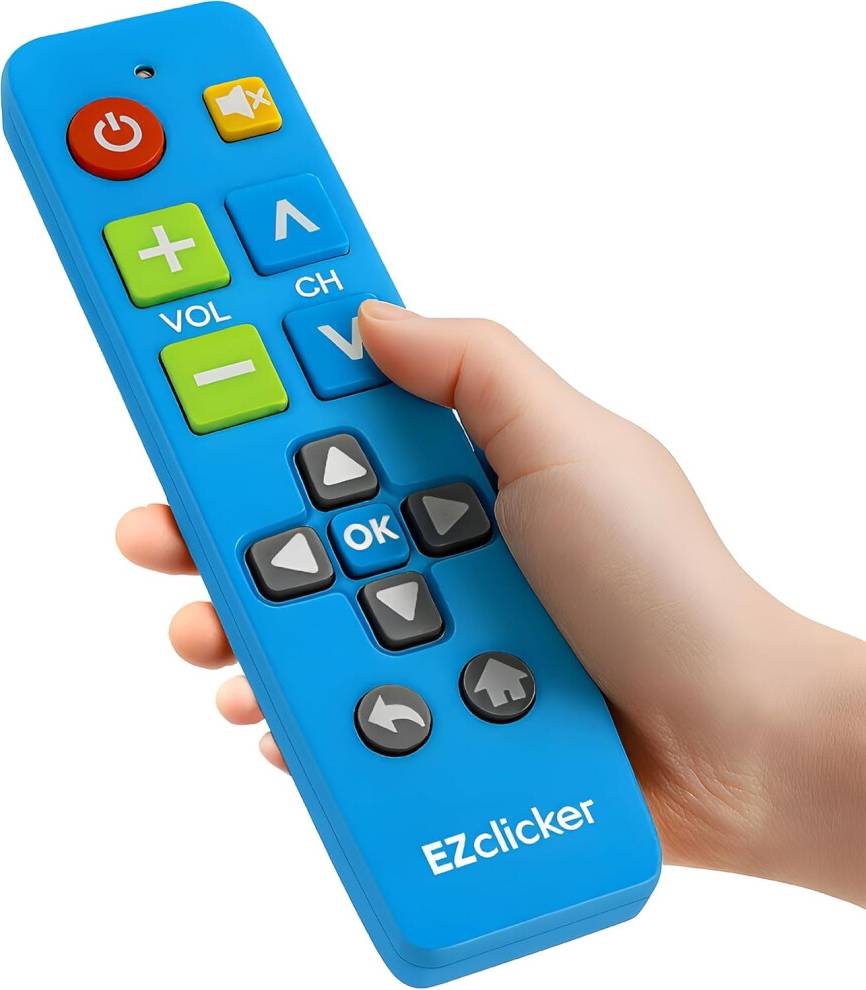 Samsung TV Remote Control Large Blue Buttons