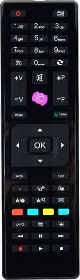 RC4875 Replacement Remote Control