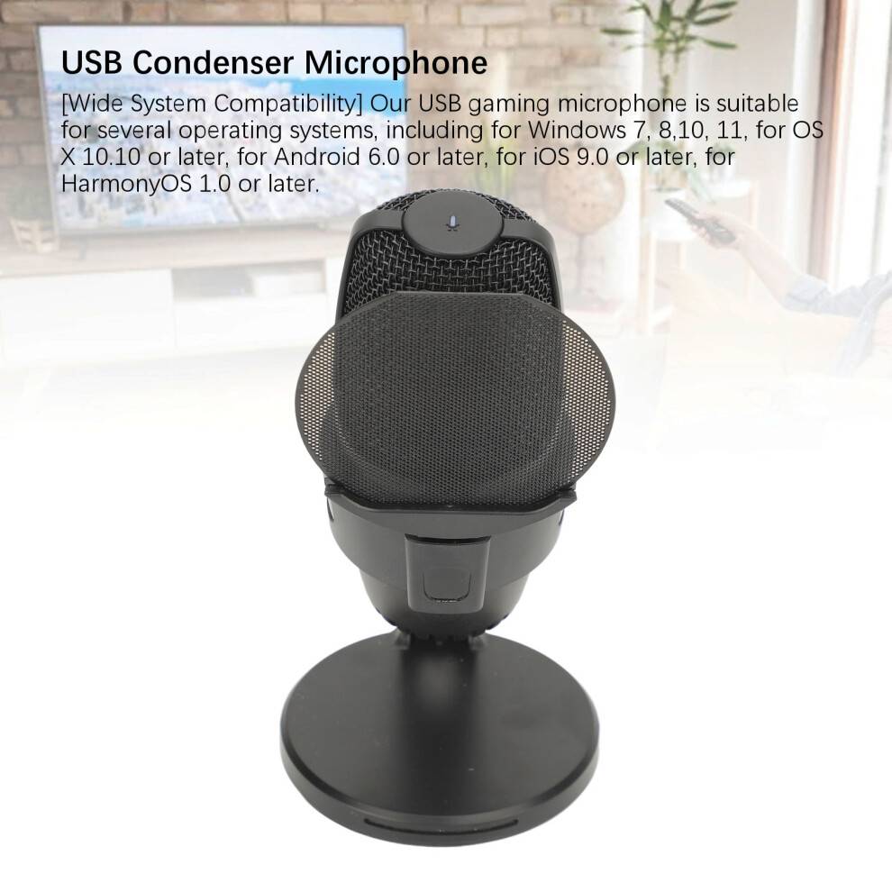 Directional USB Microphone With Button