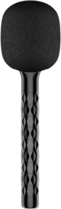 Handheld Portable Microphone