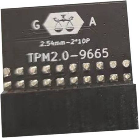 Exogio LPC 20Pin Protection Module for TPM-L R2.0 Gigabyte GC-TPM2.0