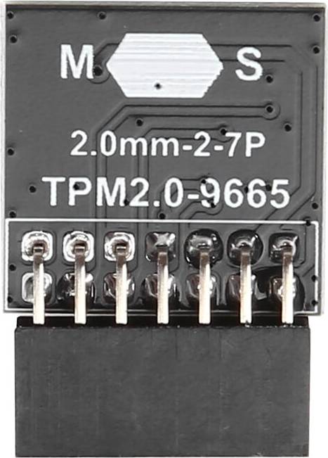 Exogio TPM2.0 Module for MSI 14-1 Pin