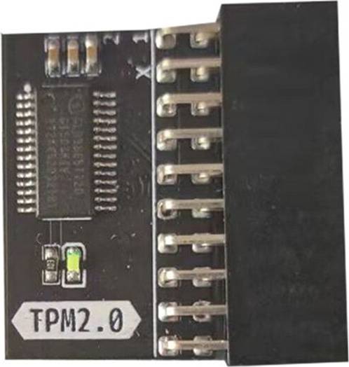 Torribaly TPM 2.0 Security Module 20-1 Pin