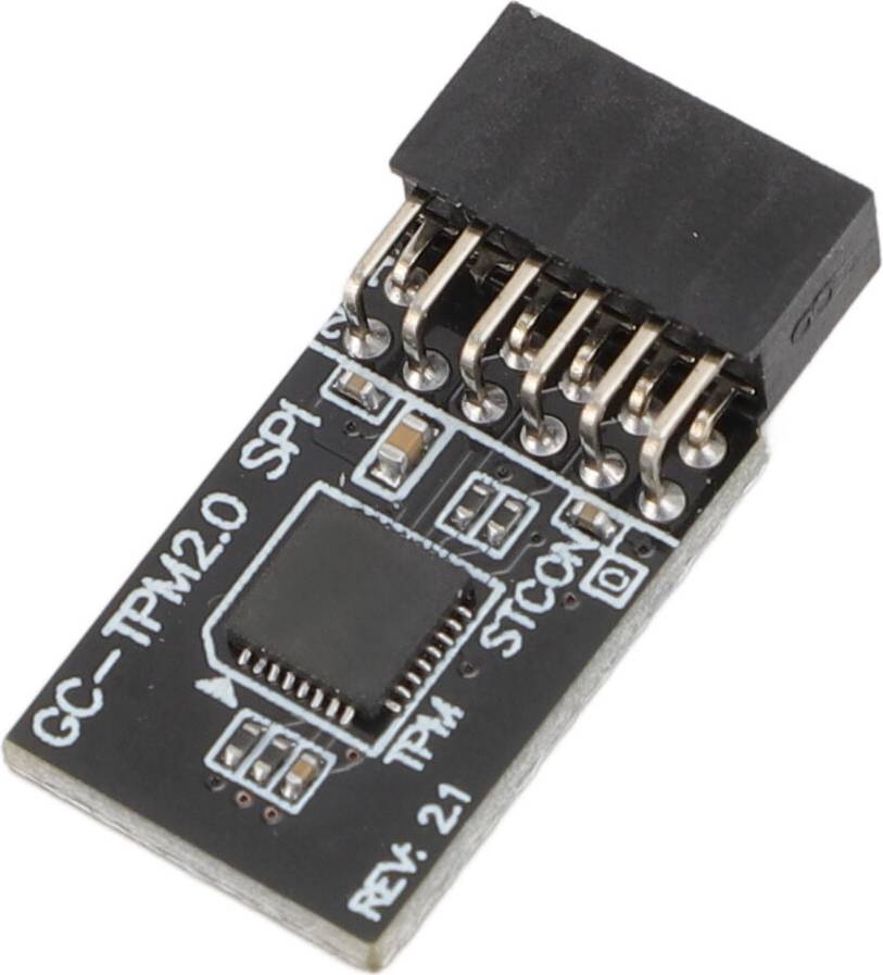 TPM 2.0 Security Module 12-1 Pins