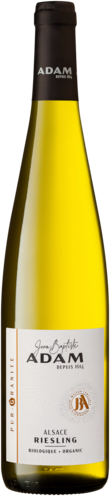 Adam Riesling Pur-Granite Bio