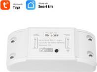 WiFi Smart Bytte Module 10A
